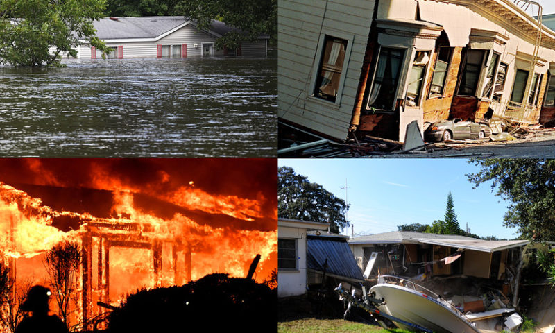 Home insurance covers damage from a volcano or wildfire—not a flood