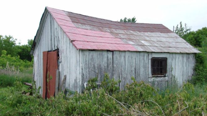 Canada farm that gave birth to the McIntosh apple up for sale