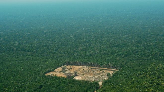 Is the Amazon facing new dangers?