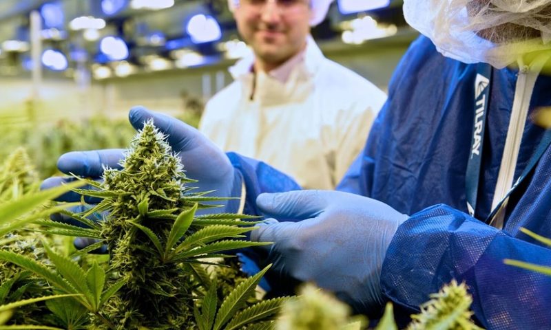 Tilray revenue doubled but losses widened ahead of legal pot sales in Canada