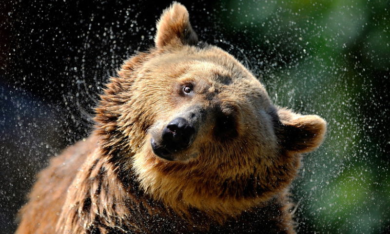 Here’s what makes this crypto bear market different