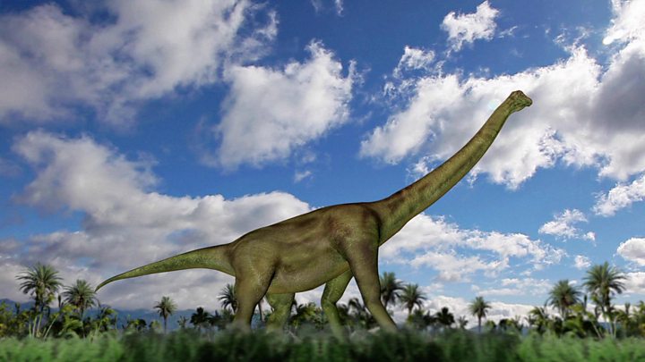 How a South African shepherd found a dinosaur graveyard