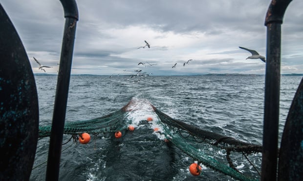 UN experts condemn Ireland’s migrant fishing workers scheme