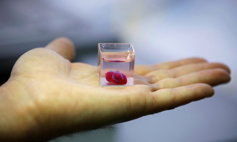 Israeli scientists create world’s first 3D-printed heart using human cells