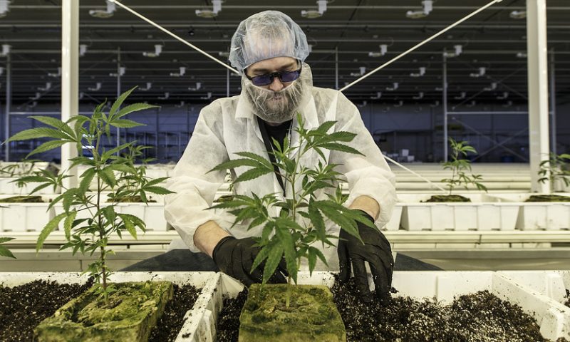 Aurora Cannabis now has a $1 price target from two analysts