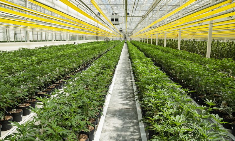 Equities Analysts Issue Forecasts for Aphria Inc’s FY2020 Earnings (NYSE:APHA)