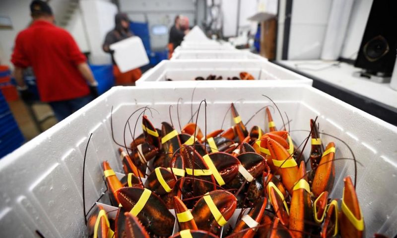 China Deal Might Not Bail Out Lobster Industry This New Year