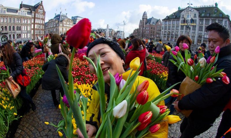 Away Winter Blues! Netherlands Marks National Tulip Day