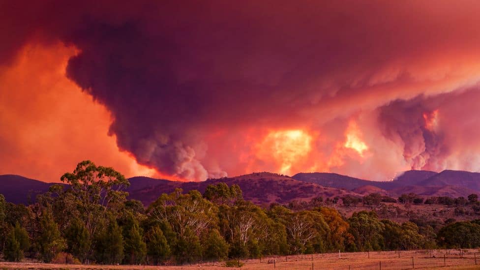 australia-fires-canberra-escapes-worst-as-fires-rage-on-equity-insider