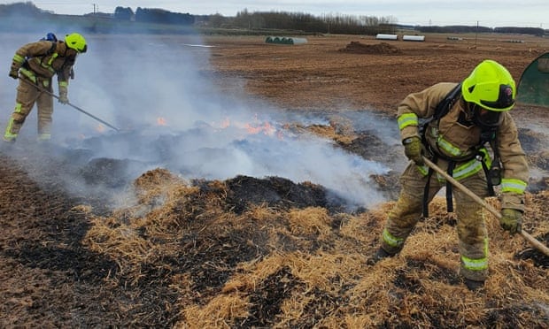 Burning calories: pig starts farm fire by excreting pedometer