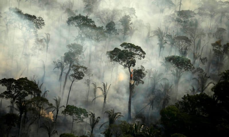 Brazil Launches Military Operations to Protect Amazon Rainforest