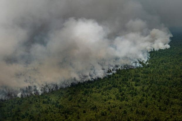 Indonesia creates ‘artificial rain’ to prevent repeat of devastating fires