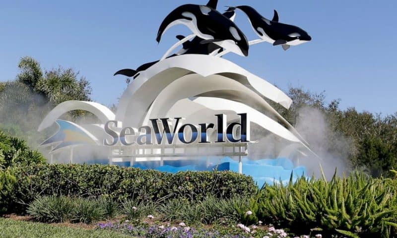 SeaWorld Entertainment Inc. (SEAS) and Guess’ Inc. (GES)