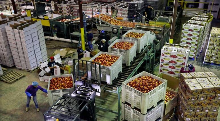 US Wholesale Prices Rise 0.4% in May Led by Food and Energy