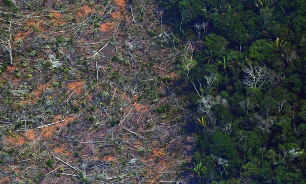 Outcry from environmentalists as Brazil fires official monitoring deforestation