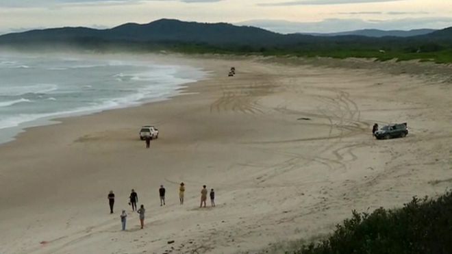 Australia surfer saves wife by punching shark