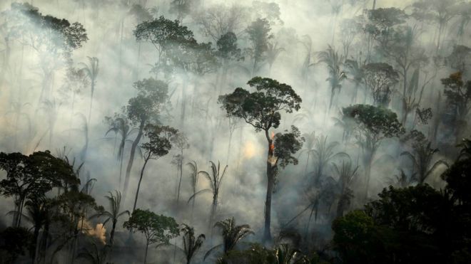 Amazon region: Brazil records big increase in fires
