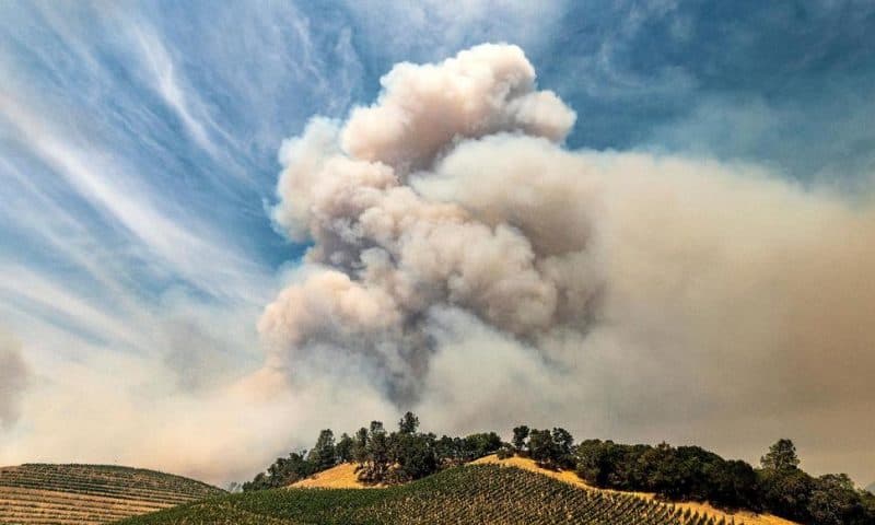 Wildfires Again Threaten Business in California Wine Country