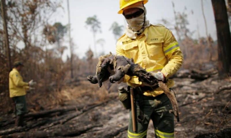 Brazil’s Bolsonaro Calls Surging Amazon Fires a ‘Lie’