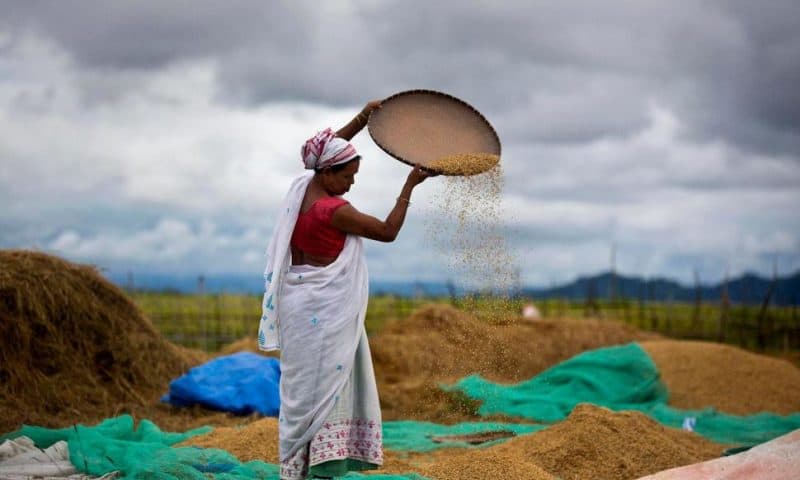 Indian Lawmakers Pass Farm Bills Amid Uproar in Parliament