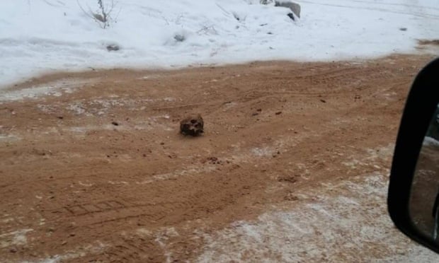 Russia discovers ‘road of bones’ on frozen highway in Siberia