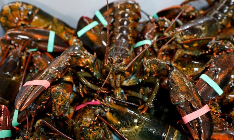 EU Parliament Backs Lobster Deal and EU-US Mini Trade Pact