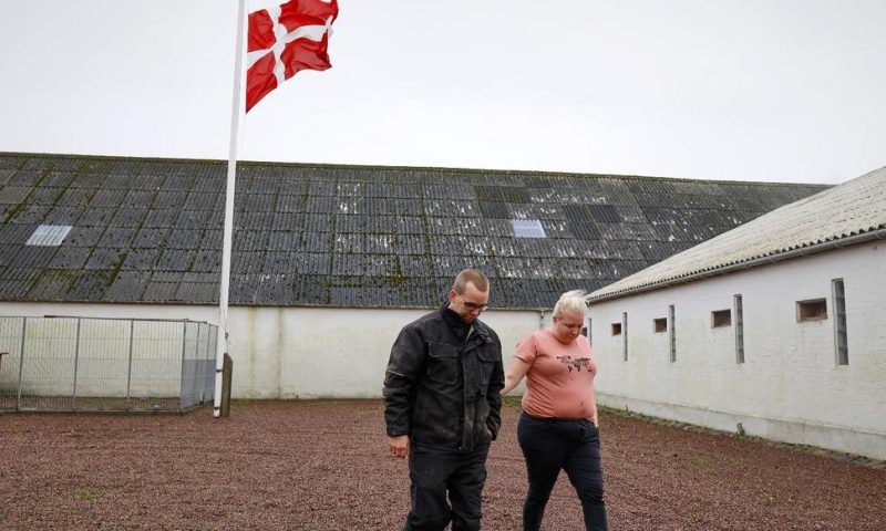 Danish Farmers Lament Decision to Cull All Denmark’s Minks