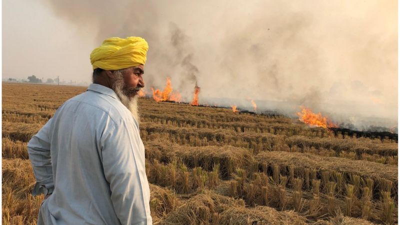 Stubble burning: Why it continues to smother north India