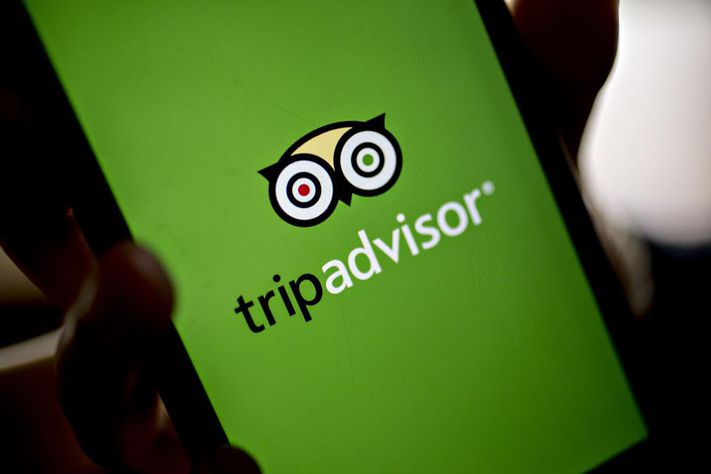 TripAdvisor Inc. (TRIP) Rises 13.96%
