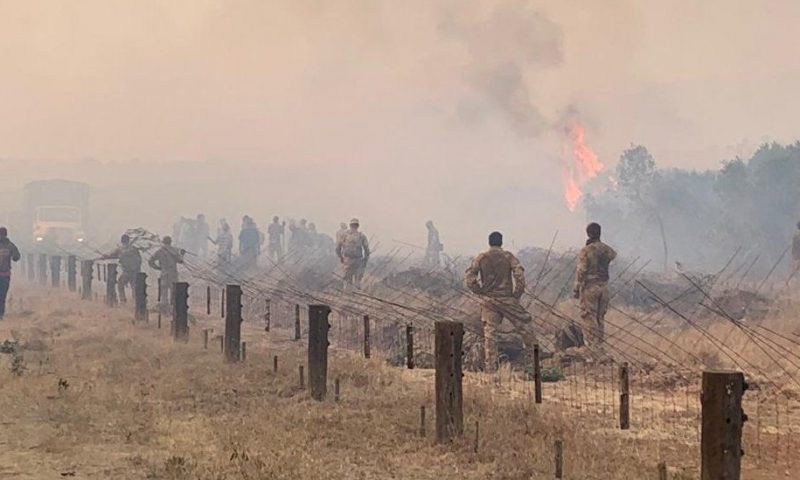 Kenyans sue the British army over fire at wildlife sanctuary