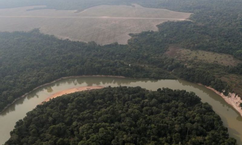Over 10,000 Species Risk Extinction in Amazon, Says Landmark Report