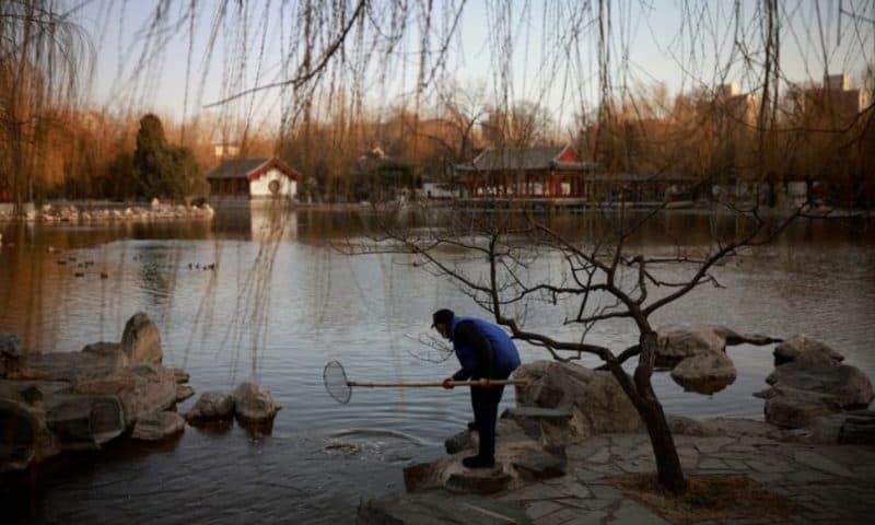 China Submits Draft Biodiversity Declaration to United Nations