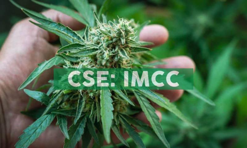 IM Cannabis (IMCC) rose 13.44% on Strong Volume