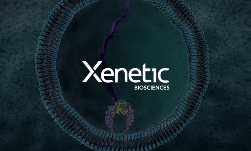 Xenetic (XBIO) falls 2.55% in Light Trading