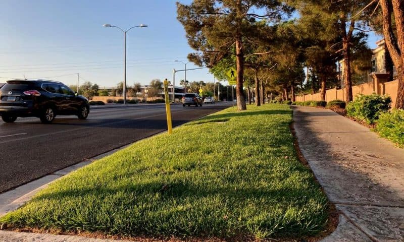 Drought-Stricken Las Vegas Proposes Grass Ban for New Homes