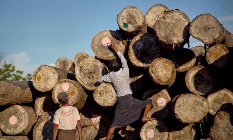 Trade Data: Myanmar Teak Exports Helping Fund Military Rule