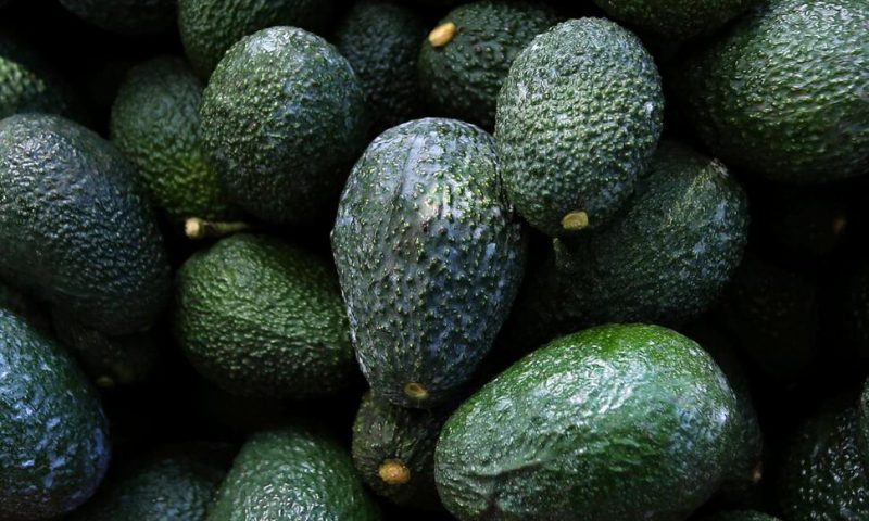 US Suspends Mexican Avocado Imports on Eve of Super Bowl