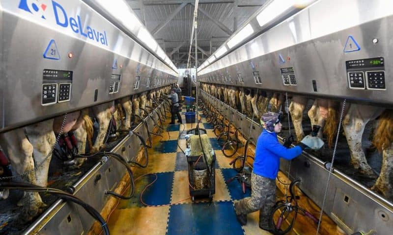 Farmers Alarmed as NY Looks at Expanded Overtime for Workers