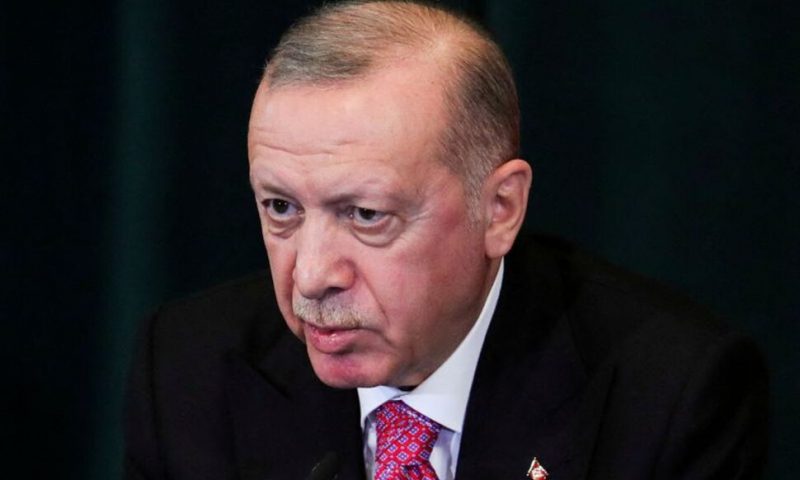Turkey, UAE Sign Agreements on Trade, Industry During Erdogan Visit
