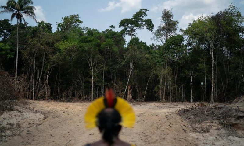 Brazil’s Amazon Deforestation Hits Record for Month of April
