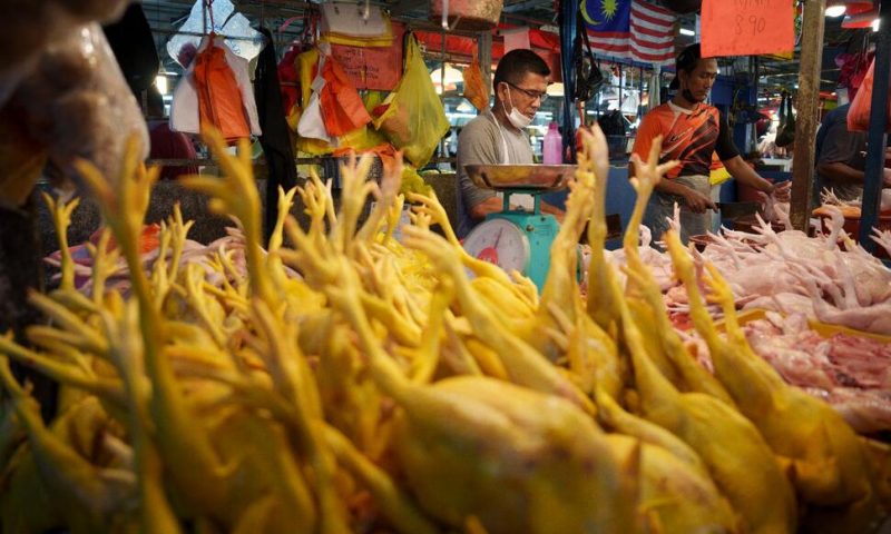 Malaysia Suspends Chicken Exports Amid Rising Food Prices