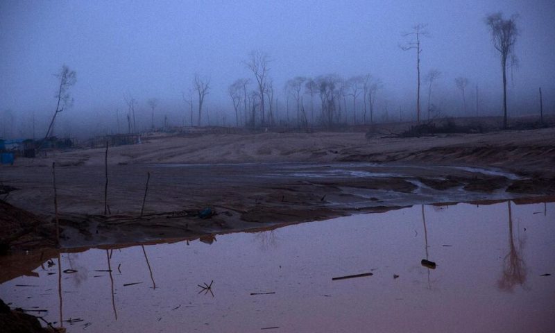 Immersed in Crisis, Peru Neglects Amazon’s Destruction