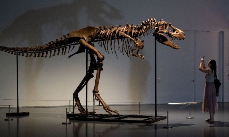 Gorgosaurus: Ancient dinosaur skeleton sells for $6m at auction