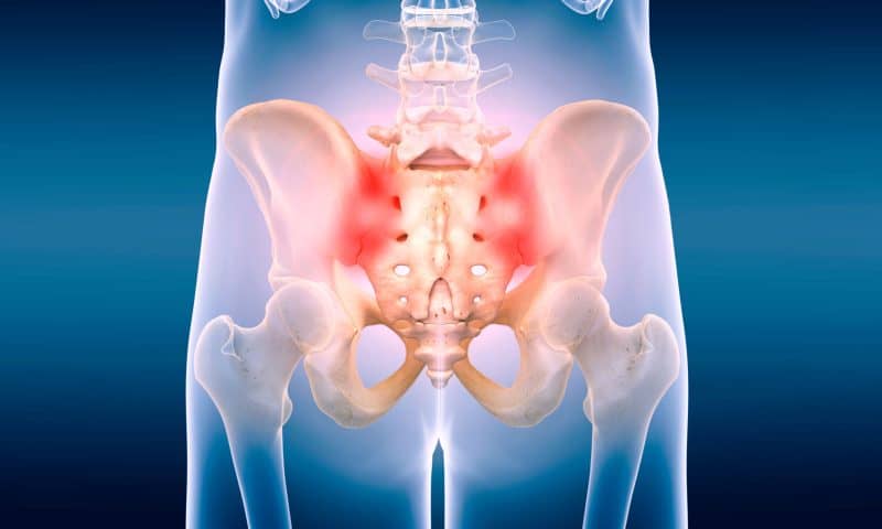 SI-BONE (NASDAQ:SIBN) PT Lowered to $24.00