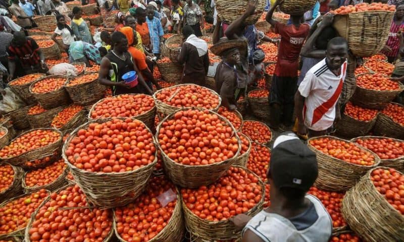 Concerns Grow as Nigeria’s Inflation Surges to 17-Year High