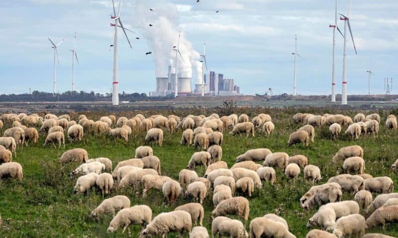 German Leader Warns Against ‘Worldwide Renaissance’ for Coal