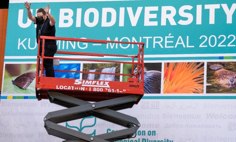 Governments Gather in Canada in Bid to Boost Biodiversity
