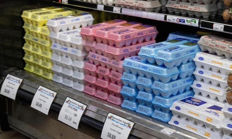 Soaring Egg Prices Prompt Demands for Price-Gouging Probe