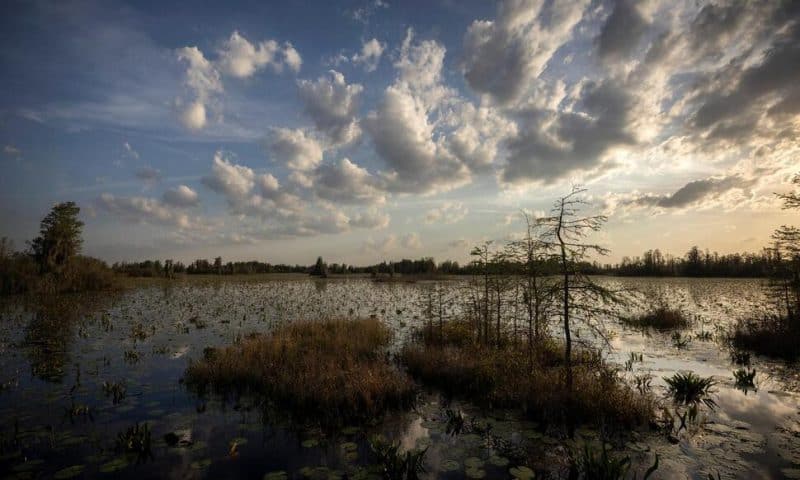 Regulators Move Mine Plan Near Okefenokee a Big Step Forward