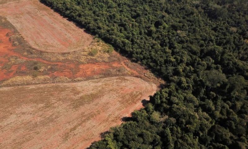 Norway Says Fund to Reduce Amazon Deforestation in Brazil Back in Business